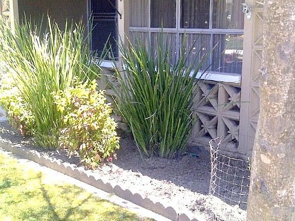 3rd image of 13621 Alderwood Ln APT 36H