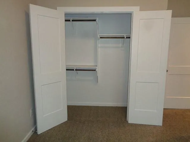 27029 Sofia Forest Dr — Photo 32