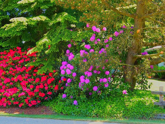 One of the many easy care planting beds