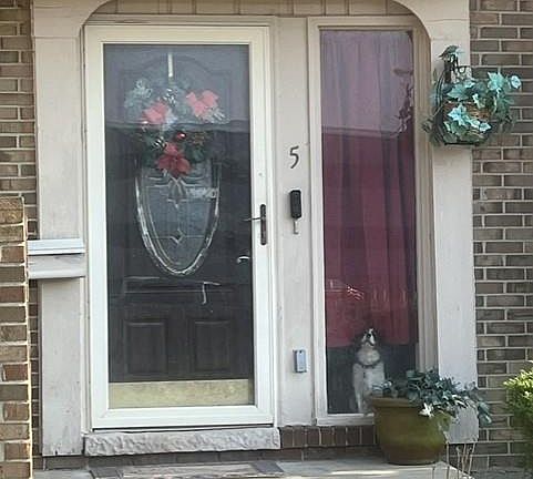 2nd image of 5 Richmond Towne St