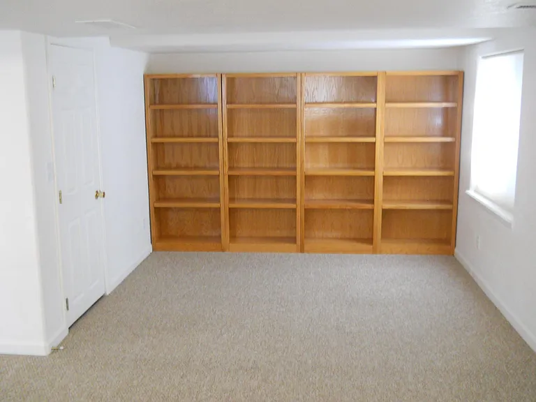 Basement with book shelves.