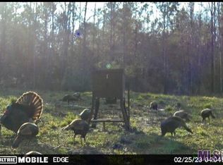 5 Hall And Lindsey Rd, Greensburg, LA 70441