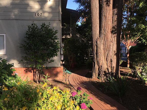 2nd image of 107 Fitch St #111
