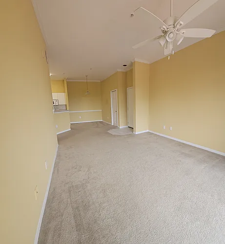 4209 Woodstorks Walk Way #305 Photo 1