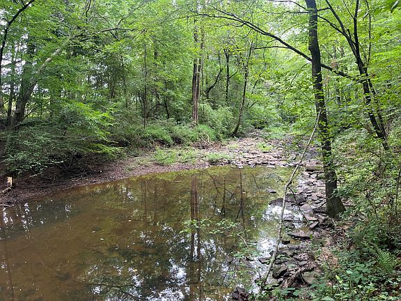2nd image of 1 Williams Rd