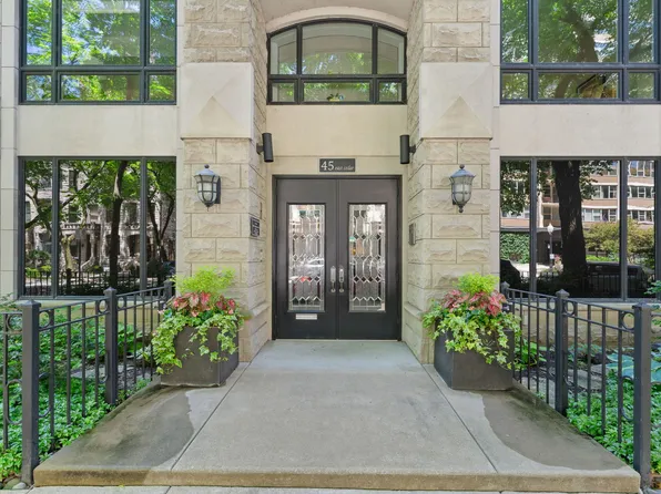 45 E Cedar St APT 200, Chicago, IL 60611