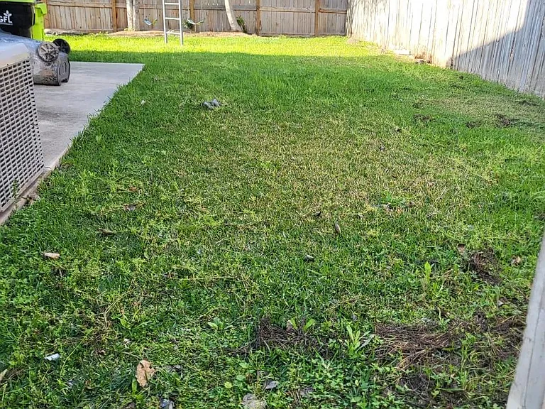 14810 Rancho Vista Dr — Photo 32