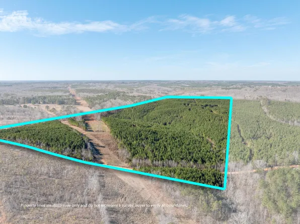 0 County Road 32, Hodges, AL 35571