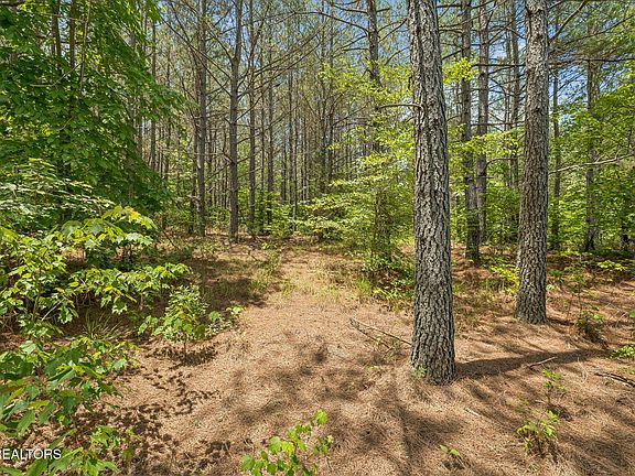 3rd image of Nydeck Trl Tract 3