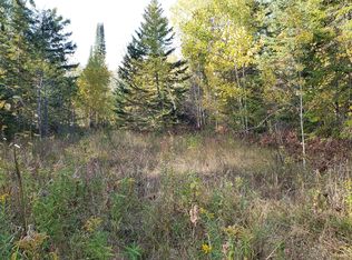 Zolner Rd, Cheboygan, MI 49721