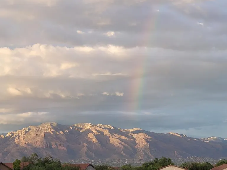 view from the deck