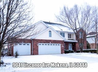 9041 Liscanor Ave, Mokena, IL 60448