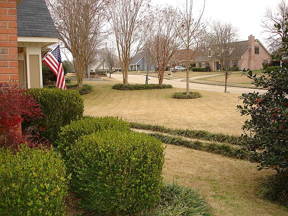 View of neighborhood