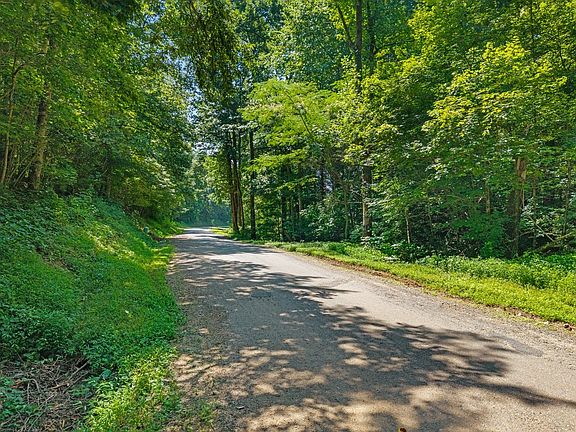 5th image of 0 Randolph Fridley Rd