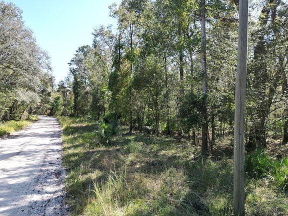 3rd image of 123 SE Suwannee Trl