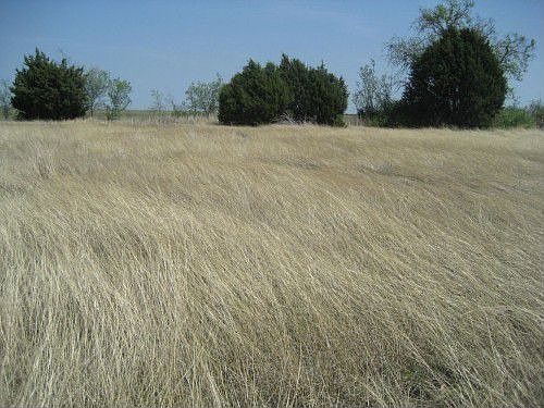 2nd image of 12150 N Hwy 183