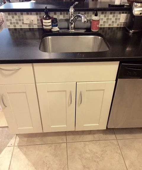 Sink and dish washer
