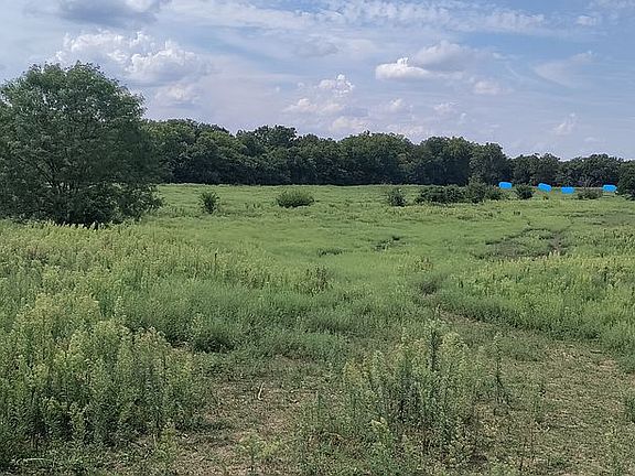 Blue = fence property line. 