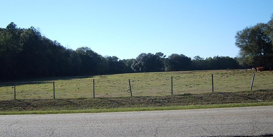 Looking West along South boundary