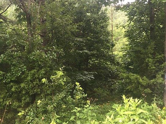 3rd image of Scotsdale Dr