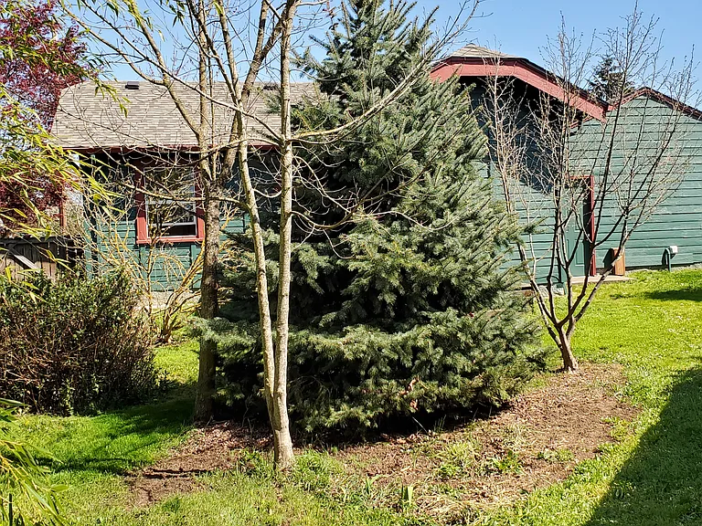 106 Knapp Ln — Photo 21