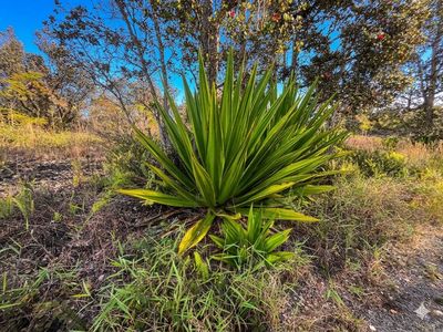 Cocoanut Dr Lot 32, Ocean View, HI, 96737