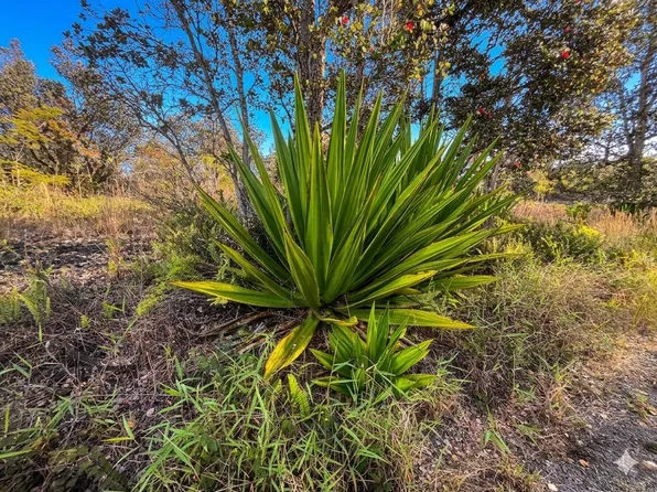 Cocoanut Dr Lot 32, Ocean View, HI 96737