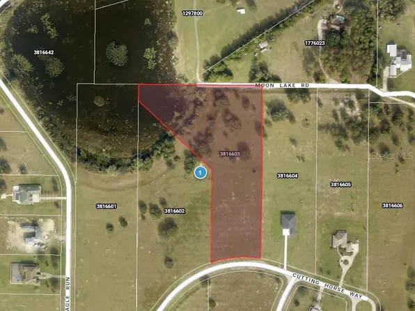 CUTTING HORSE WAY, GROVELAND, FL 34736