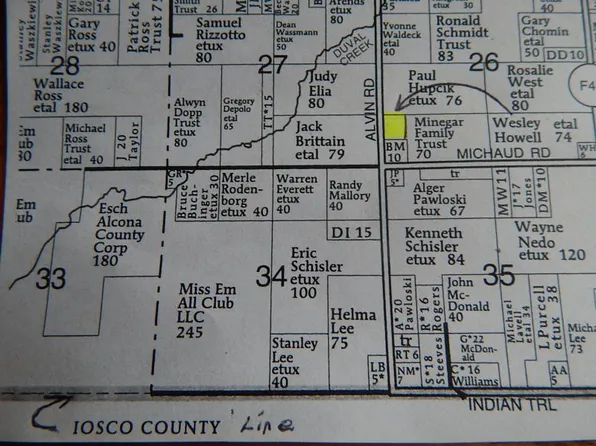 0 Alvin Rd, Mikado, MI 48745