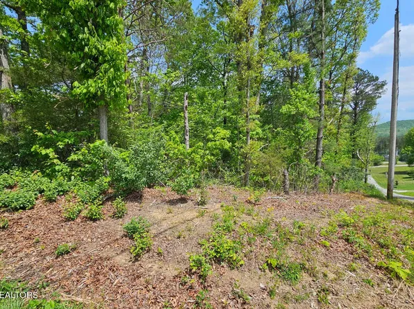 Sutherland Dr, Helenwood, TN 37755