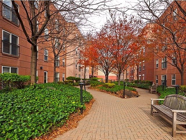 2nd image of 1313 Grand St APT 403