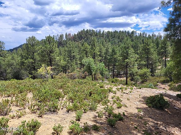 3rd image of 1610 S HIGH VALLEY RANCH Road #6
