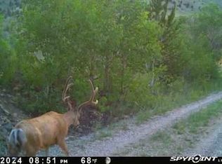 1131 Outlaw Trl, Anaconda, MT 59711