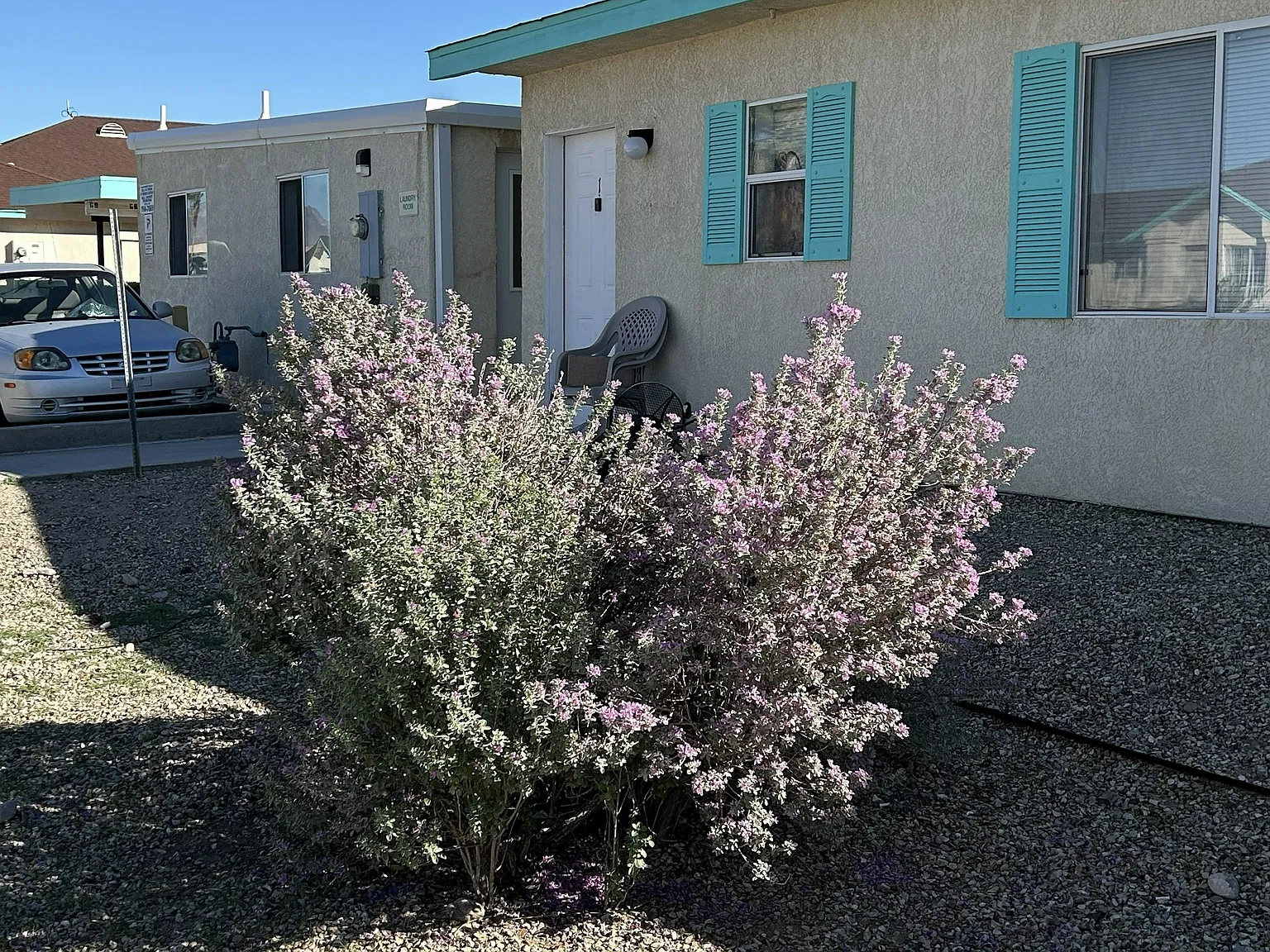 1559 Courtney Place — Photo 3