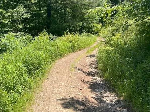 Costello Road Lots 11 #&-12, Austin, PA 16720