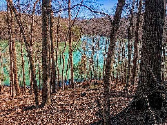 4th image of 22 Cove Cir #22