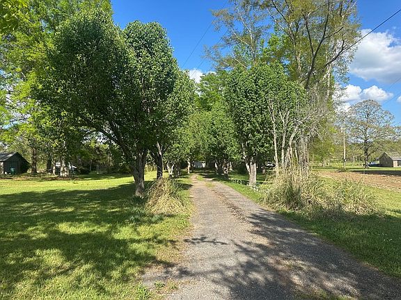 5th image of 1317 Wade Patrick Rd