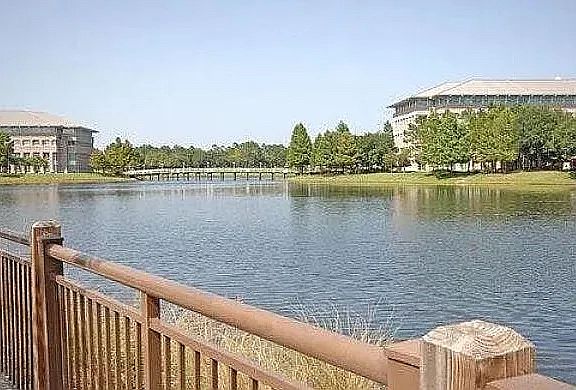 5th image of 9823 Tapestry Park Cir