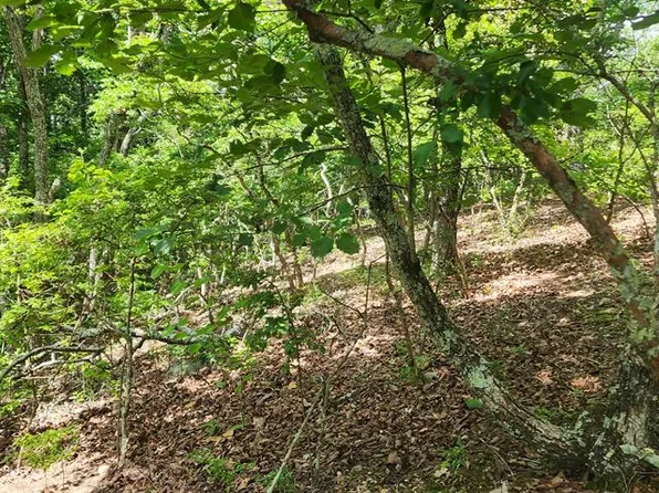 0 Fan Cv, Holladay, TN 38341