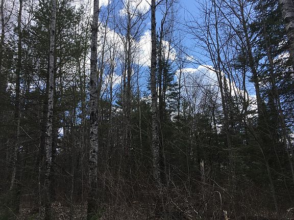 4th image of ON SWAMP LAKE RD