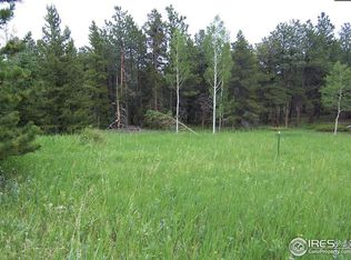 167 Jed Smith Rd, Ward, CO 80481