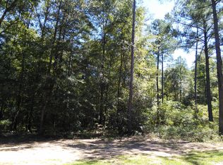 66 Beckwith Rd, Ellaville, GA 31806