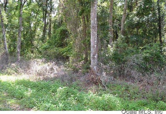 5th image of 49 Lake Wood Cir