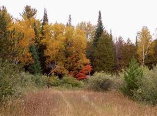 11284 Carney Rd, Herron, MI 49744