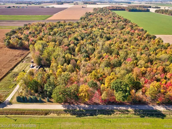 4000 S Reese Rd, Frankenmuth, MI 48734