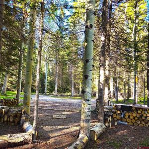 505 Wildflower Drive, Cimarron, CO, 81220