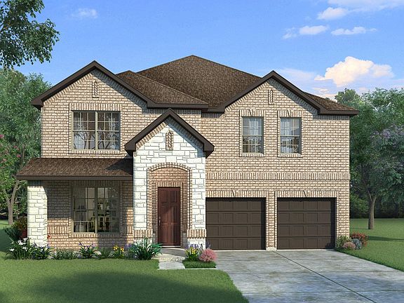 Elm with Elevation V