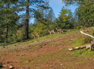 42 Petersen Ranch Dr, Pine Grove, CA 95665