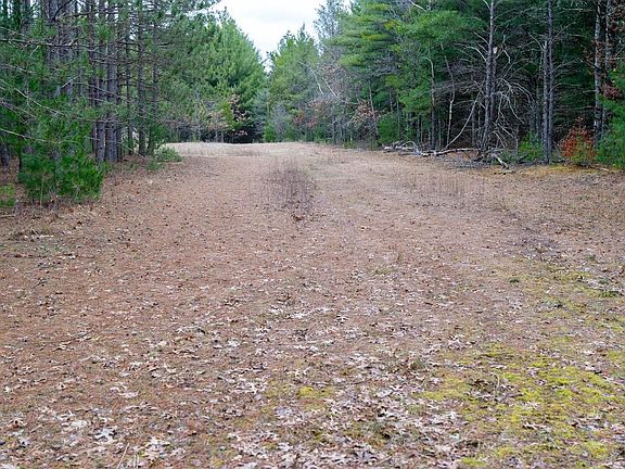 3rd image of Lot 3 +/- 87 Ac Dover Drive