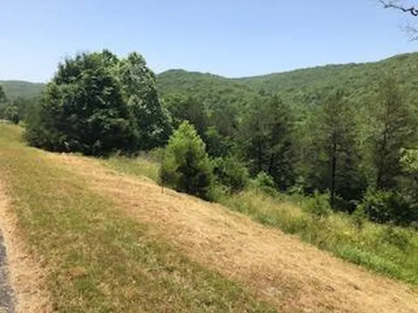 Lot 84 A Cedar, Saddlebrooke, MO 65630